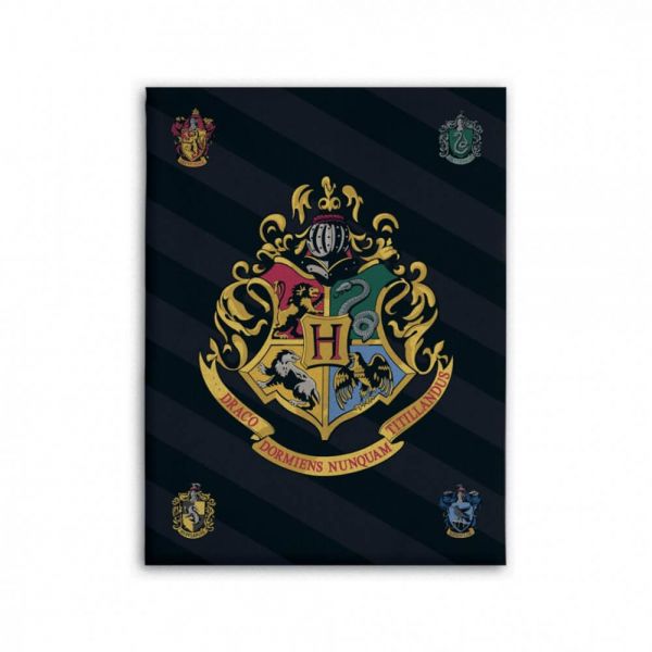 Hogwarts Häuser Fleece Decke Harry Potter